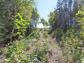 Cape Breton - Bras d`Or Lake - Tolles See-Ufergrun - 
