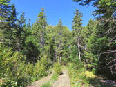 Cape Breton - Bras d`Or Lake - Tolles See-Ufergrun - 