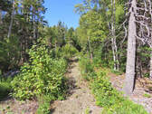 Cape Breton - Bras d`Or Lake - Tolles See-Ufergrun - 