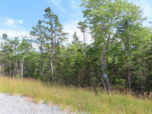 Cape Breton - Atlantik-Grundstück in herrlicher ge - 