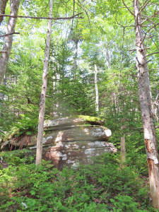 Cape Breton - Atlantik-Grundstück in herrlicher ge - 