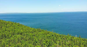 Cape Breton - Roberta - Einzigartiges 79-Hektar-Ar - Grundstück in Roberta zum Kaufen