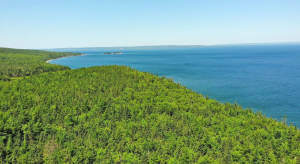 Cape Breton - Roberta - Einzigartiges 79-Hektar-Ar - 