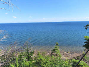 Cape Breton - Roberta - Einzigartiges 79-Hektar-Ar - 