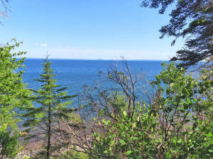 Cape Breton - Roberta - Einzigartiges 79-Hektar-Ar - 