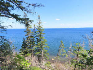 Cape Breton - Roberta - Einzigartiges 79-Hektar-Ar - 