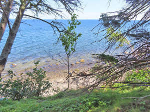 Cape Breton - Roberta - Einzigartiges 79-Hektar-Ar - 