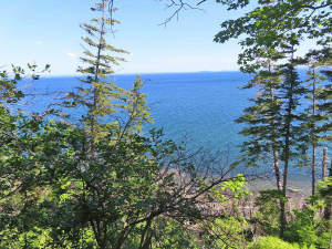 Cape Breton - Roberta - Einzigartiges 79-Hektar-Ar - 