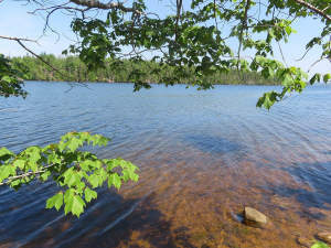 Cape Breton - Bras d`Or Lake - Washabuck River - 1 - 