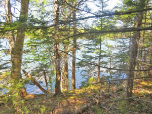 Cape Breton - Bras d`Or Lake - Washabuck River - 1 - 