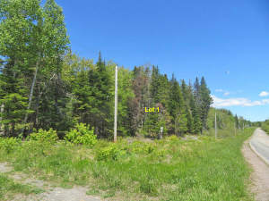 Cape Breton - Bras d`Or Lake - Washabuck River - 1 - 