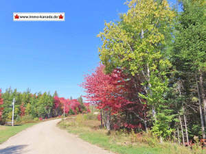 Nova Scotia - 25 Hektar großes Areal mit ehemalige - Grundstück zum Kaufen in Country Harbour