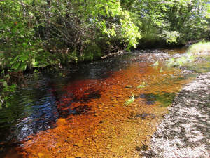 Nova Scotia - 25 Hektar großes Areal mit ehemalige - 