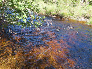 Nova Scotia - 25 Hektar großes Areal mit ehemalige - 