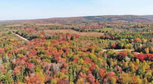 Nova Scotia - 25 Hektar großes Areal mit ehemalige - 