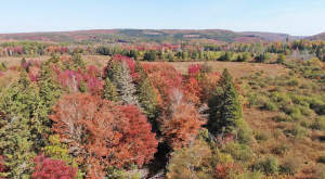 Nova Scotia - 25 Hektar großes Areal mit ehemalige - 