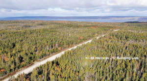 Cape Breton - Big Pond - East Bay Heights - 48 Hek - 