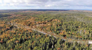 Cape Breton - Big Pond - East Bay Heights - 48 Hek - 