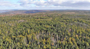 Cape Breton - Big Pond - East Bay Heights - 48 Hek - 