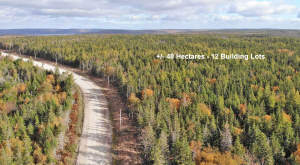 Cape Breton - Big Pond - East Bay Heights - 48 Hek - 