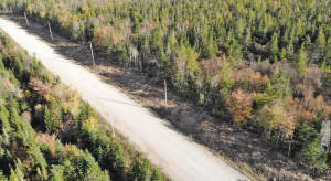 Cape Breton - Big Pond - East Bay Heights - 48 Hek - 