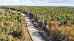 Cape Breton - Big Pond - East Bay Heights - 48 Hek - 