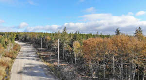 Cape Breton - Big Pond - East Bay Heights - 48 Hek - 