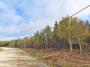 Cape Breton - Big Pond - East Bay Heights - 48 Hek - 