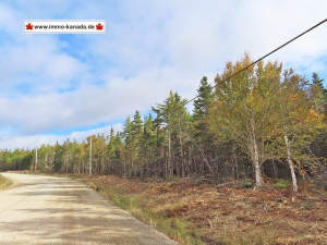 Cape Breton - Big Pond - East Bay Heights - 48 Hek - Cape Breton - East Bay Hills - Neu-Erschließung mit preiswerten Baugrundstücken - 12 Lots von 14.000 bis 110.000 m²