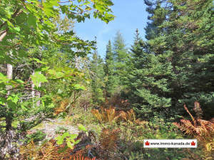 Cape Breton - Big Pond - East Bay Heights - 48 Hek - 