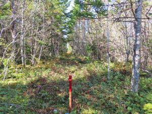 Cape Breton - Big Pond - East Bay Heights - 48 Hek - 