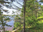 Cape Breton - Christie Gillis Island - Einzigartig - 