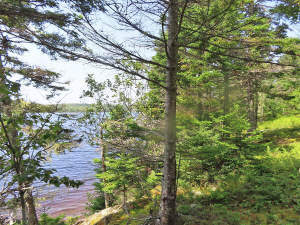 Cape Breton - Christie Gillis Island - Einzigartig - 