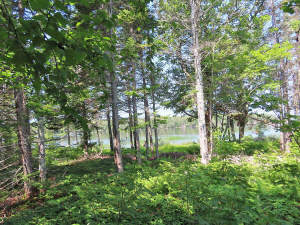 Cape Breton - Christie Gillis Island - Einzigartig - 