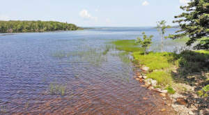 Cape Breton - Christie Gillis Island - Einzigartig - 