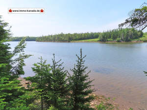 Cape Breton - Cleveland - Wunderschönes Fluss-Ufer - Cape Breton - Cleveland - Wunderschönes Fluss-Ufer-Grundstück am River Inhabitants