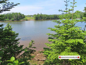 Cape Breton - Cleveland - Wunderschönes Fluss-Ufer - Grundstück zum Kaufen in Cleveland
