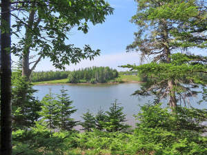Cape Breton - Cleveland - Wunderschönes Fluss-Ufer - Grundstück in Cleveland