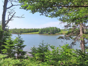 Cape Breton - Cleveland - Wunderschönes Fluss-Ufer - 