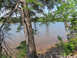 Cape Breton - Cleveland - Wunderschönes Fluss-Ufer - 