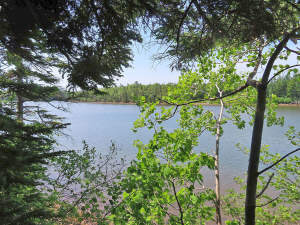 Cape Breton - Cleveland - Wunderschönes Fluss-Ufer - 