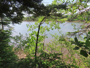 Cape Breton - Cleveland - Wunderschönes Fluss-Ufer - 