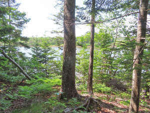 Cape Breton - Cleveland - Wunderschönes Fluss-Ufer - 