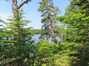 Cape Breton - Cleveland - Wunderschönes Fluss-Ufer - 