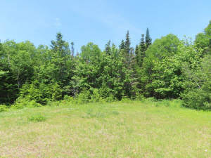 Cape Breton - Cleveland - Wunderschönes Fluss-Ufer - 