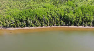Cape Breton - Cleveland - Wunderschönes Fluss-Ufer - 