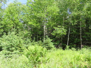 Cape Breton - Bras d`Or Lake - Preiswertes Baugrun - 