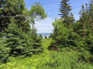 Cape Breton - Bras d`Or Lake - Preiswertes Baugrun - 