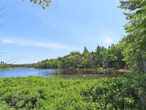 Cape Breton - Wunderschönes 11-Hektar-Areal mit 23 - 