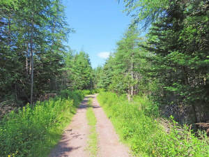 Cape Breton - Wunderschönes 11-Hektar-Areal mit 23 - 
